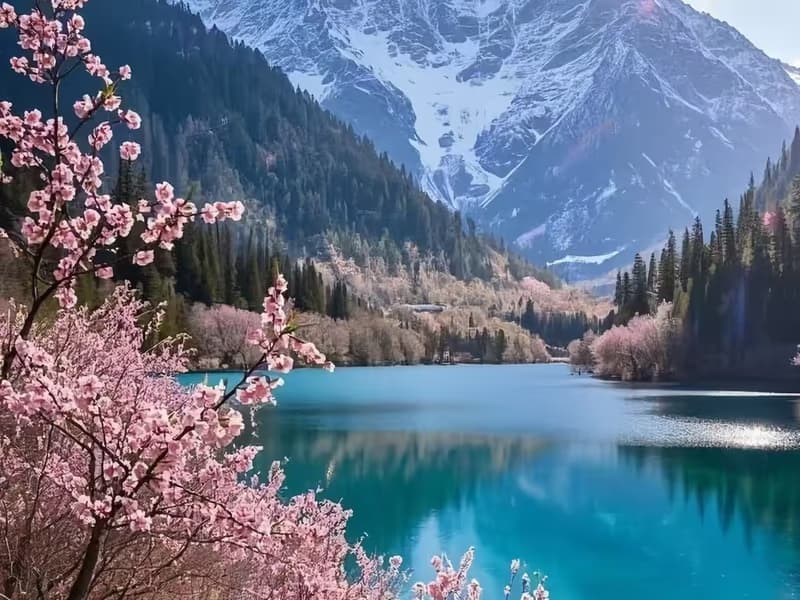 How to Navigate Jiuzhaigou