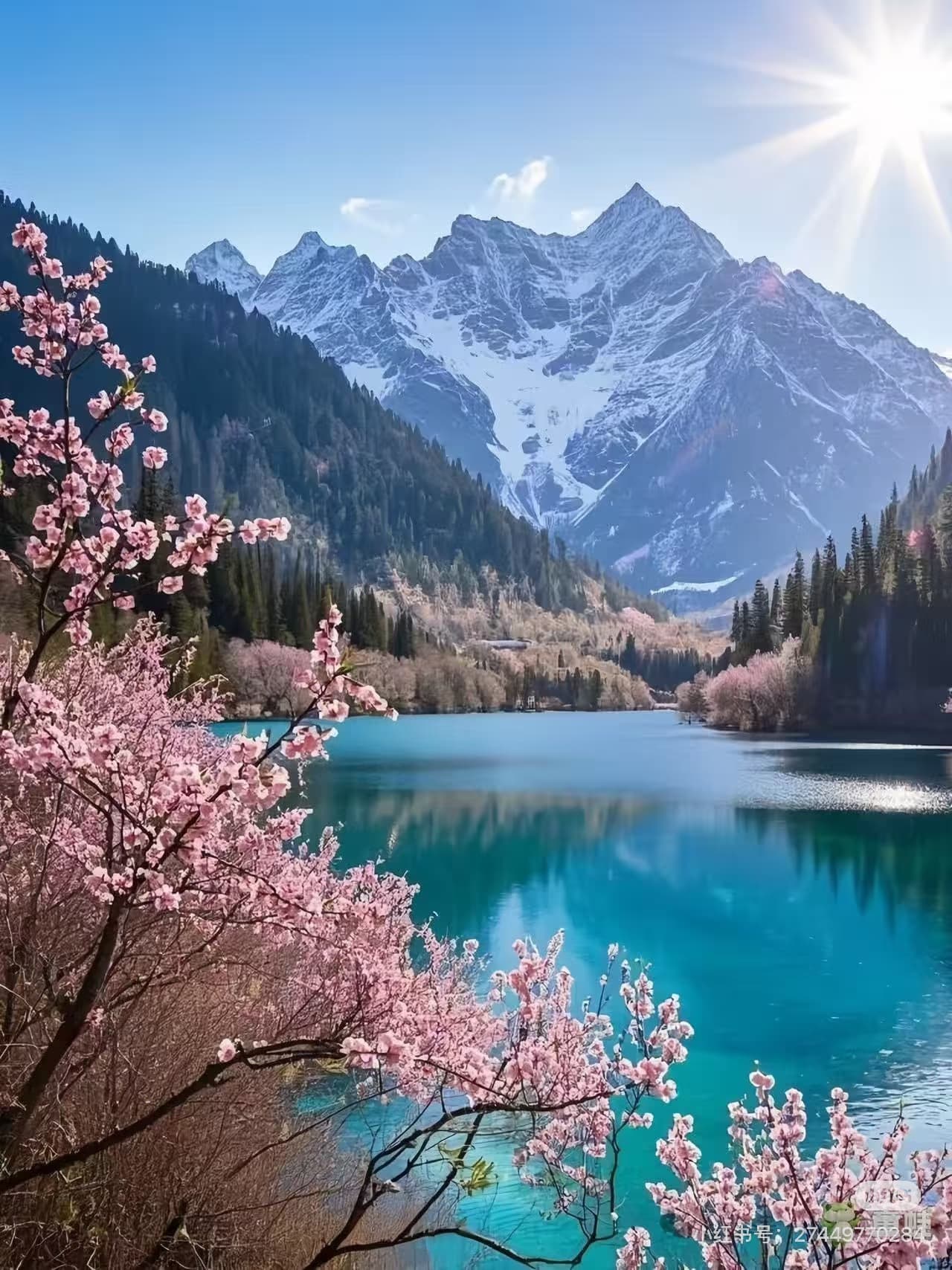How to Navigate Jiuzhaigou