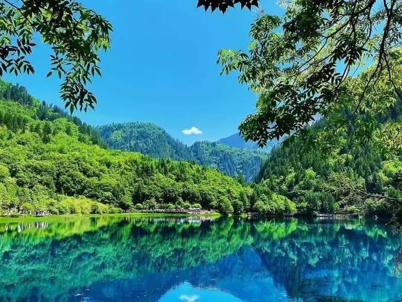 Jiuzhaigou in Summer: Is It Worth Visiting?