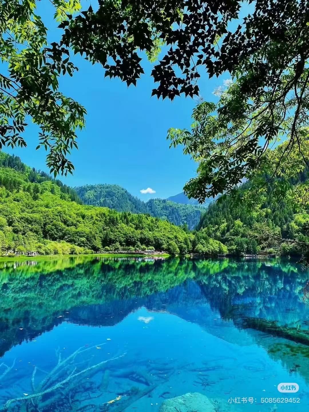 Jiuzhaigou in Summer: Is It Worth Visiting?