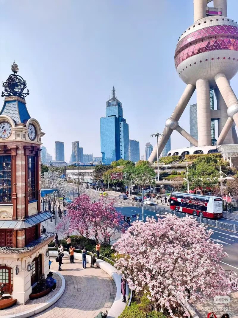 What to See in Shanghai in Spring?