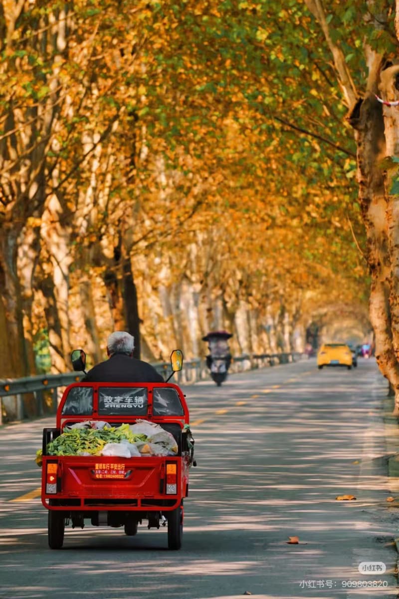 Why Experience Chengdu in Autumn?