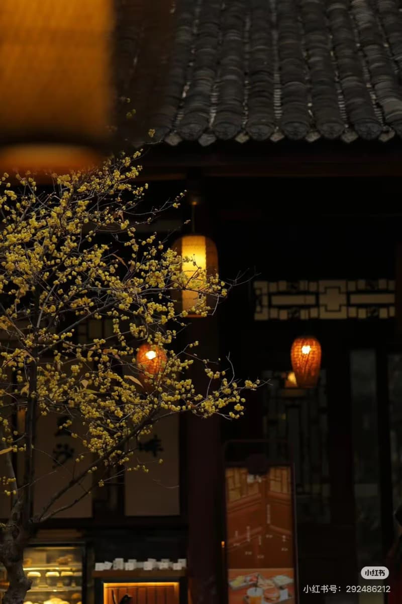 Why Visit Chengdu in Winter?